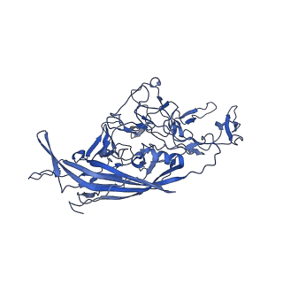 21656_6wft_c_v1-2
BatAAV-10HB - genome-containing particles