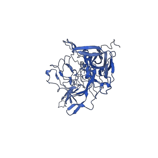 21656_6wft_d_v1-2
BatAAV-10HB - genome-containing particles