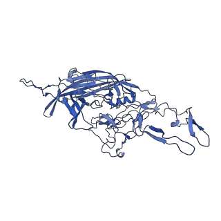 21656_6wft_e_v1-2
BatAAV-10HB - genome-containing particles