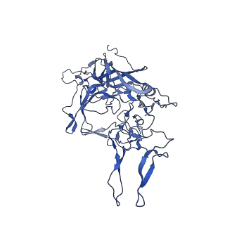 21656_6wft_g_v1-2
BatAAV-10HB - genome-containing particles