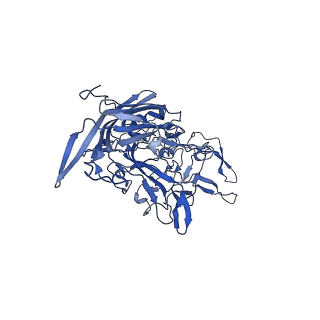 21656_6wft_h_v1-2
BatAAV-10HB - genome-containing particles