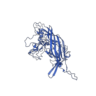 21656_6wft_i_v1-2
BatAAV-10HB - genome-containing particles