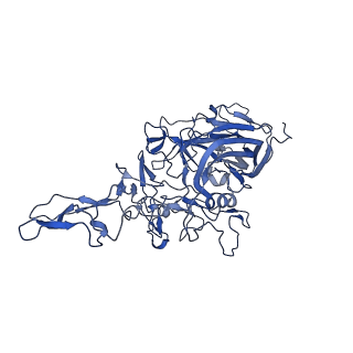 21656_6wft_k_v1-2
BatAAV-10HB - genome-containing particles