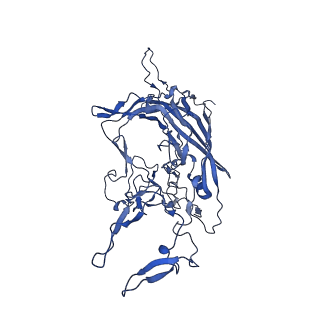 21656_6wft_l_v1-2
BatAAV-10HB - genome-containing particles