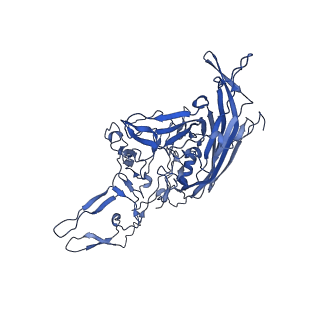 21656_6wft_m_v1-2
BatAAV-10HB - genome-containing particles