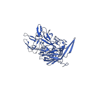 21656_6wft_o_v1-2
BatAAV-10HB - genome-containing particles