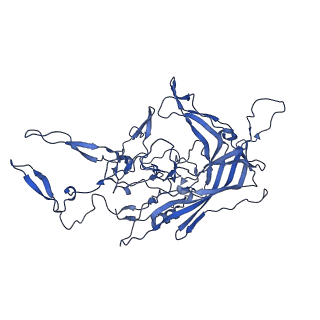 21656_6wft_q_v1-2
BatAAV-10HB - genome-containing particles