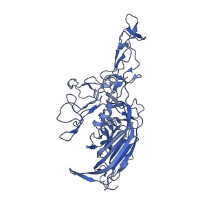 21656_6wft_r_v1-2
BatAAV-10HB - genome-containing particles