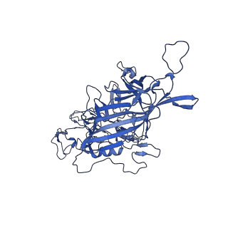 21656_6wft_u_v1-2
BatAAV-10HB - genome-containing particles