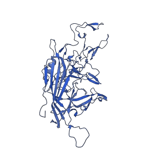21656_6wft_v_v1-1
BatAAV-10HB - genome-containing particles