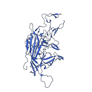 21656_6wft_v_v1-2
BatAAV-10HB - genome-containing particles