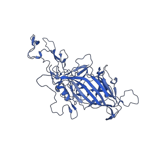 21656_6wft_w_v1-2
BatAAV-10HB - genome-containing particles