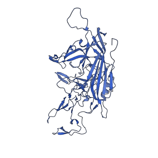 21656_6wft_y_v1-2
BatAAV-10HB - genome-containing particles