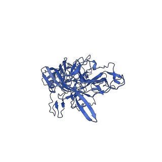 21656_6wft_z_v1-2
BatAAV-10HB - genome-containing particles