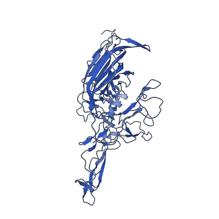 21657_6wfu_2_v1-2
BatAAV-10HB - empty particles