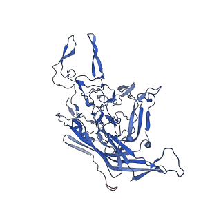 21657_6wfu_5_v1-2
BatAAV-10HB - empty particles