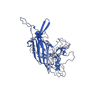 21657_6wfu_7_v1-2
BatAAV-10HB - empty particles