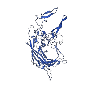 21657_6wfu_8_v1-2
BatAAV-10HB - empty particles