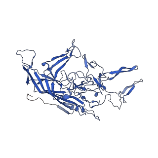 21657_6wfu_B_v1-2
BatAAV-10HB - empty particles