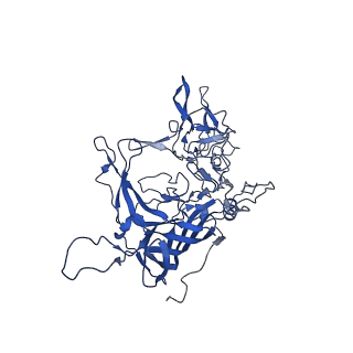 21657_6wfu_C_v1-2
BatAAV-10HB - empty particles