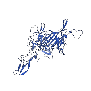 21657_6wfu_E_v1-2
BatAAV-10HB - empty particles