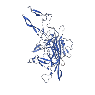 21657_6wfu_F_v1-2
BatAAV-10HB - empty particles