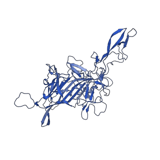 21657_6wfu_G_v1-2
BatAAV-10HB - empty particles