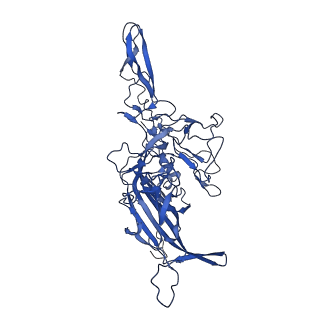 21657_6wfu_J_v1-2
BatAAV-10HB - empty particles