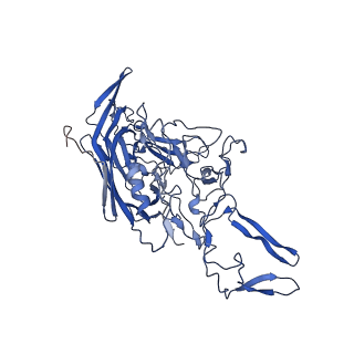 21657_6wfu_K_v1-2
BatAAV-10HB - empty particles