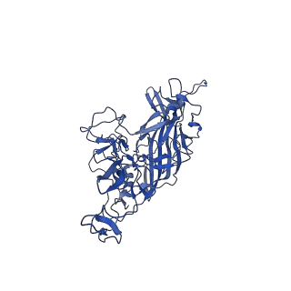 21657_6wfu_N_v1-2
BatAAV-10HB - empty particles