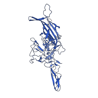 21657_6wfu_S_v1-2
BatAAV-10HB - empty particles