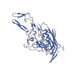 21657_6wfu_T_v1-2
BatAAV-10HB - empty particles