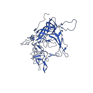 21657_6wfu_V_v1-2
BatAAV-10HB - empty particles