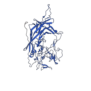 21657_6wfu_Z_v1-2
BatAAV-10HB - empty particles