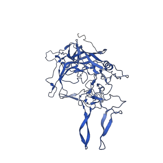 21657_6wfu_g_v1-2
BatAAV-10HB - empty particles