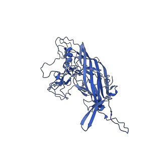 21657_6wfu_i_v1-2
BatAAV-10HB - empty particles