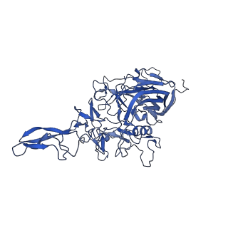 21657_6wfu_k_v1-2
BatAAV-10HB - empty particles