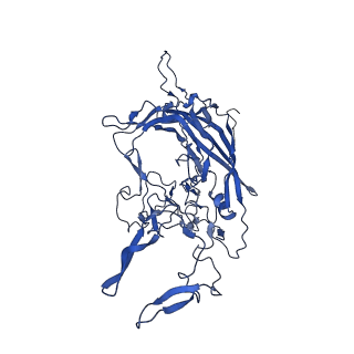 21657_6wfu_l_v1-2
BatAAV-10HB - empty particles