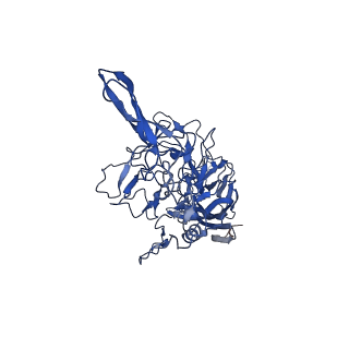 21657_6wfu_n_v1-2
BatAAV-10HB - empty particles