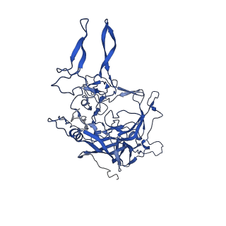 21657_6wfu_p_v1-2
BatAAV-10HB - empty particles