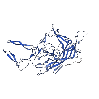 21657_6wfu_q_v1-2
BatAAV-10HB - empty particles