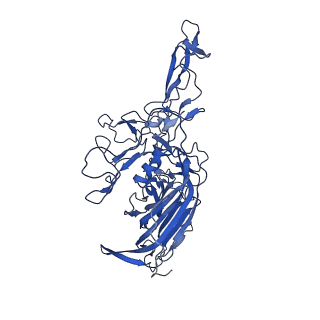 21657_6wfu_r_v1-2
BatAAV-10HB - empty particles