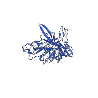 21657_6wfu_s_v1-2
BatAAV-10HB - empty particles