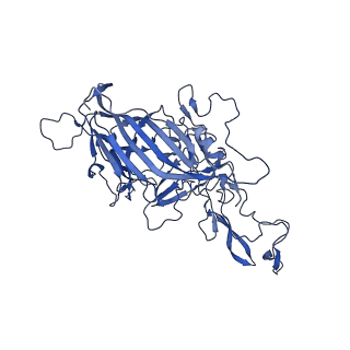 21657_6wfu_t_v1-2
BatAAV-10HB - empty particles