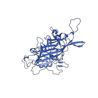 21657_6wfu_u_v1-2
BatAAV-10HB - empty particles