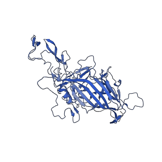 21657_6wfu_w_v1-2
BatAAV-10HB - empty particles