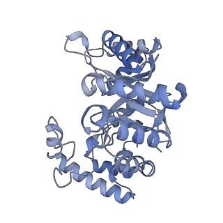 32460_7wf4_I_v1-0
Composite map of human Kv1.3 channel in dalazatide-bound state with beta subunits