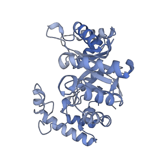 32460_7wf4_I_v2-0
Composite map of human Kv1.3 channel in dalazatide-bound state with beta subunits