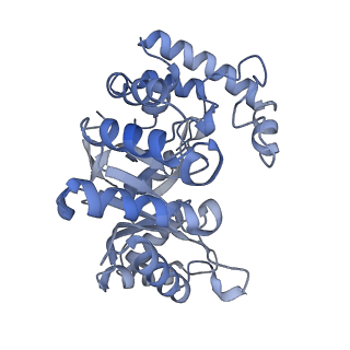 32460_7wf4_M_v1-0
Composite map of human Kv1.3 channel in dalazatide-bound state with beta subunits