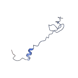 8826_5wf0_0_v1-3
70S ribosome-EF-Tu H84A complex with GTP and near-cognate tRNA (Complex C2)